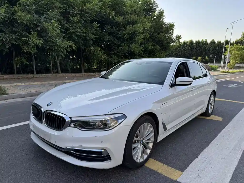 BMW 5 Series New Energy 2019