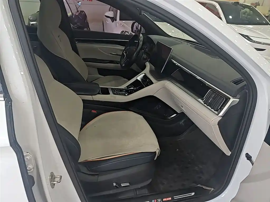 BYD PLUS New Energy 2021 — фото 25