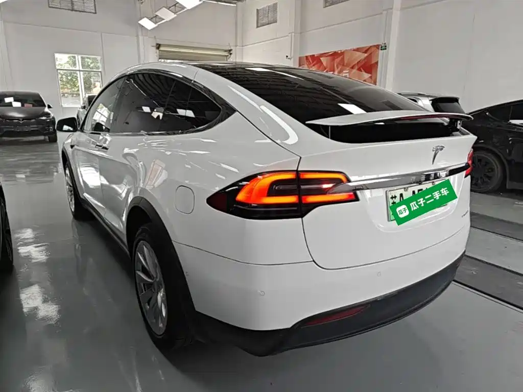 Tesla Model X 2021 — фото 5