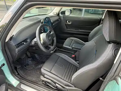 MINI MINI 2025