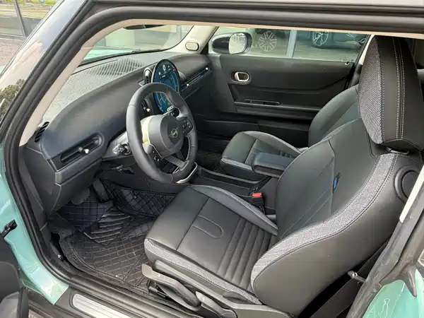 MINI MINI 2025