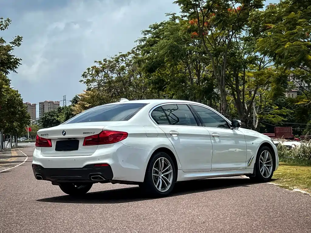 BMW 5 Series 2020 — фото 7