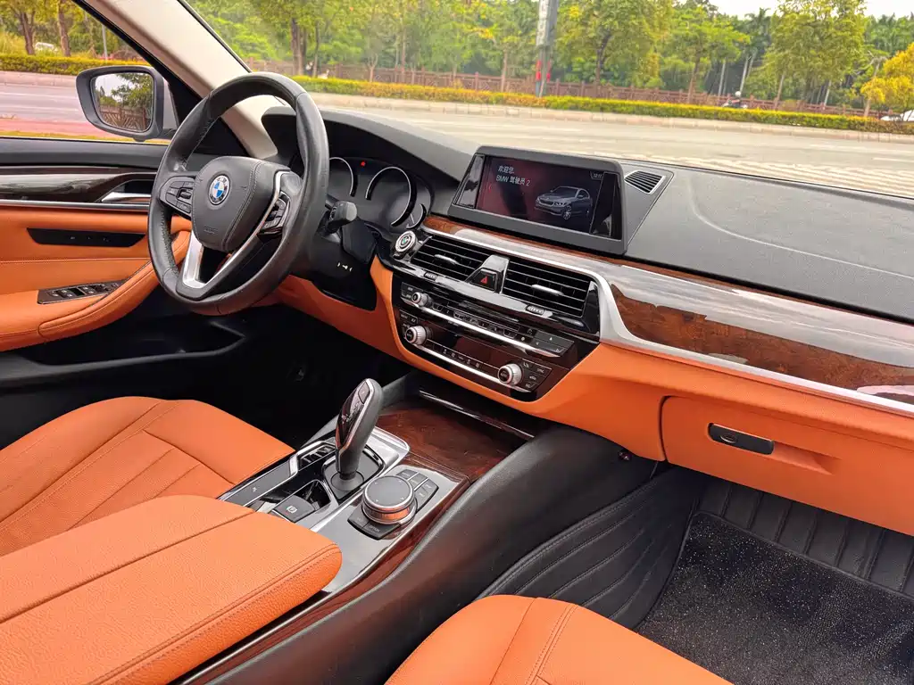 BMW 5 Series 2018 — фото 11