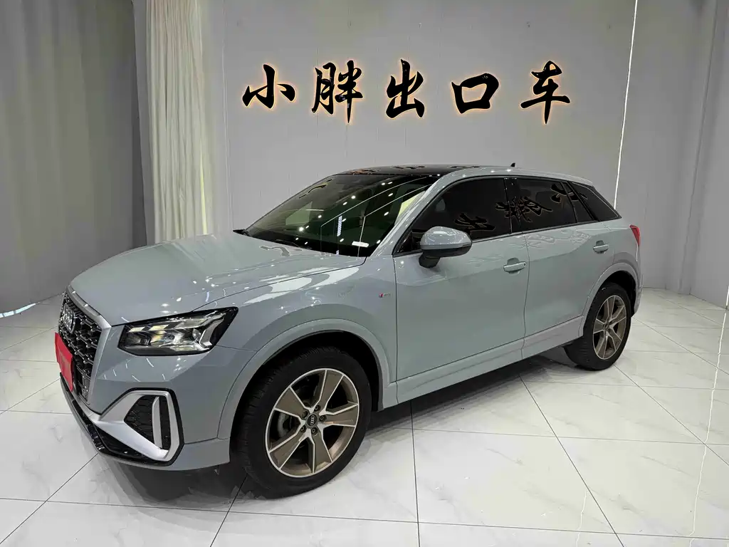 Audi Q2L