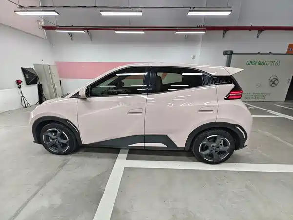BYD Seagull 2024