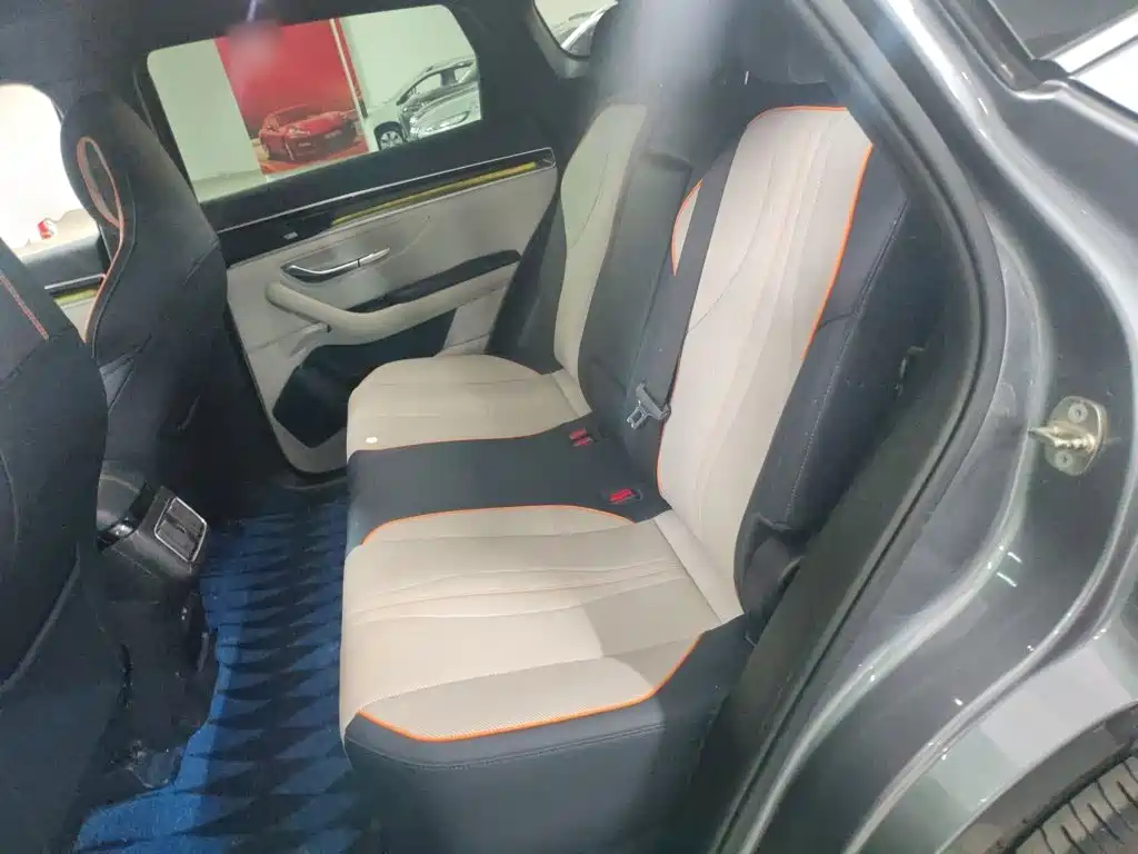 BYD Song PLUS New Energy 2022 — фото 13