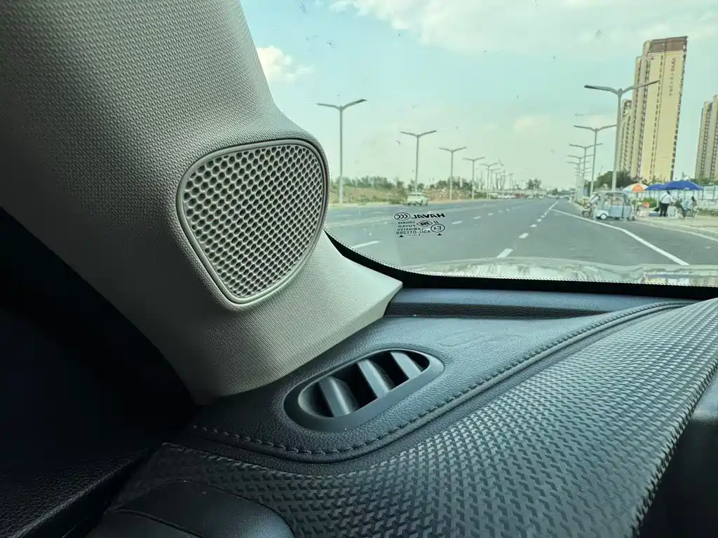 Haval Big Dog 2021 — фото 10