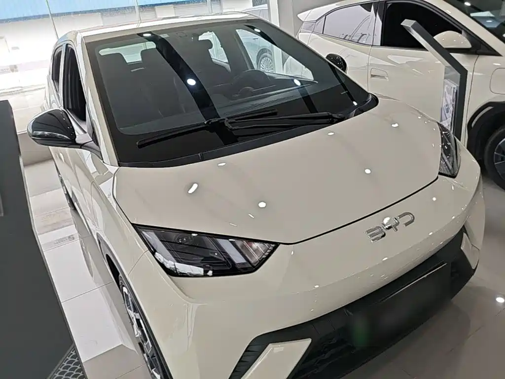 BYD Seagull 2024