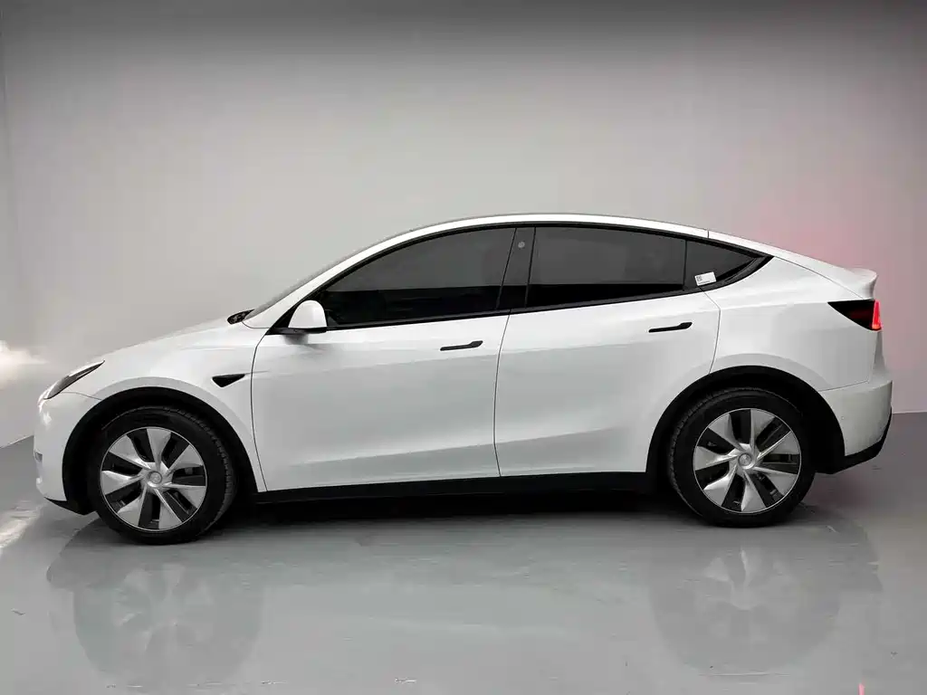 Tesla Model Y 2021 — фото 4