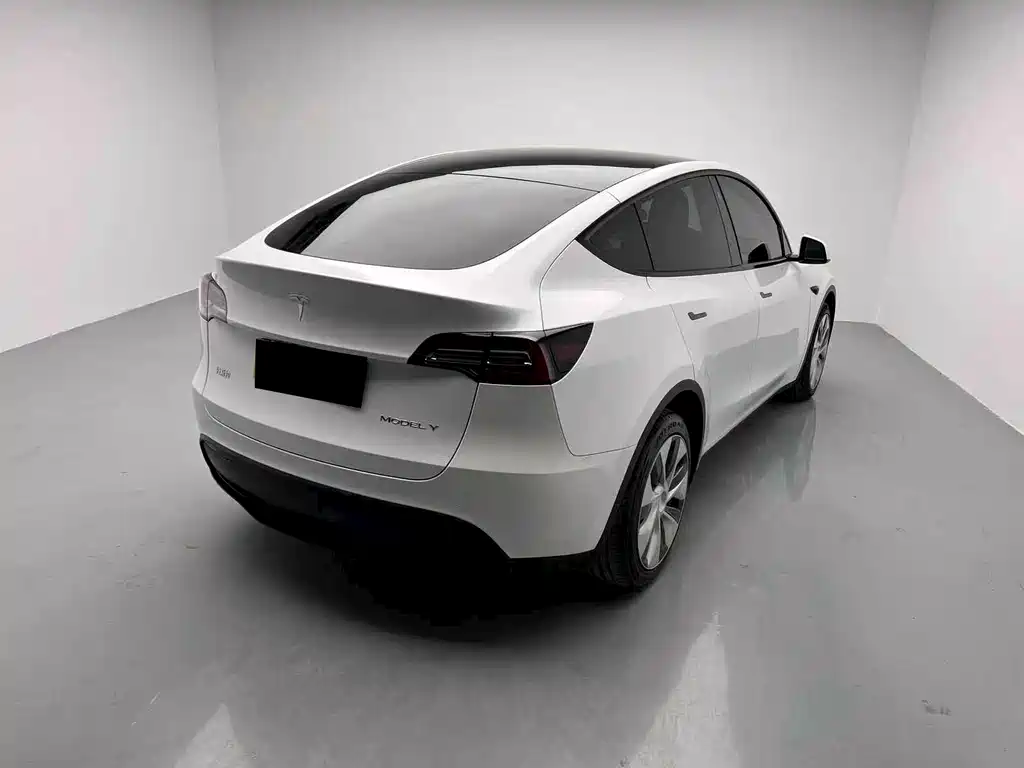 Tesla Model Y 2021 — фото 14