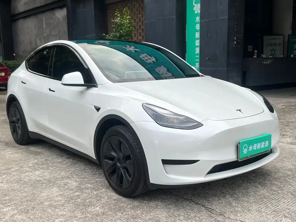Tesla Model Y 2024 — фото 3