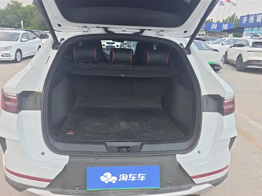 BYD PLUS New Energy 2021 — фото 4