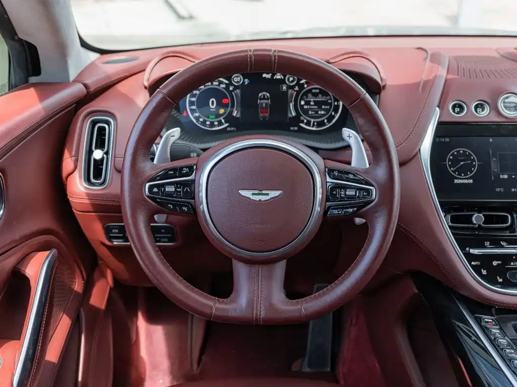 Aston Martin DBX 2020 — фото 12