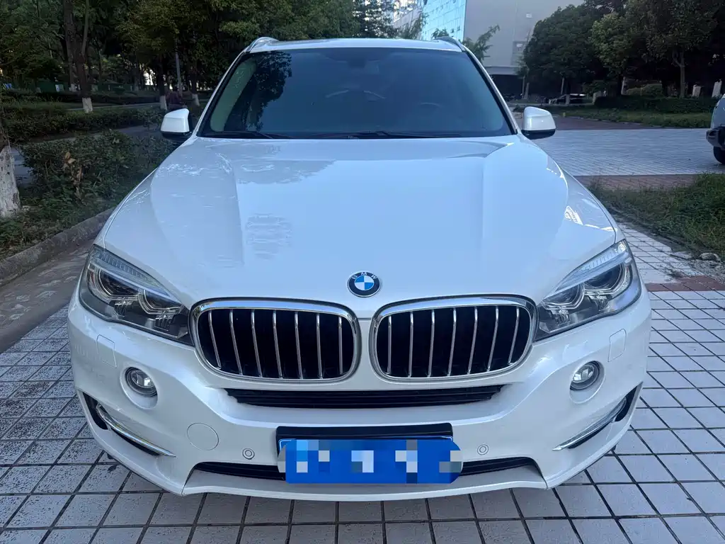 BMW X5 2019 — фото 1