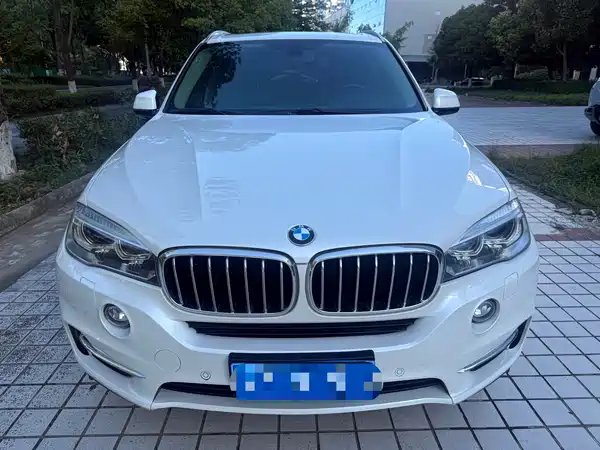 BMW X5 2019