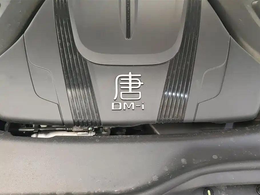 BYD Tang New Energy 2025 — фото 10
