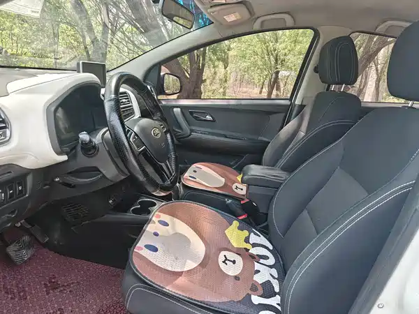 JAC iEV6E 2017
