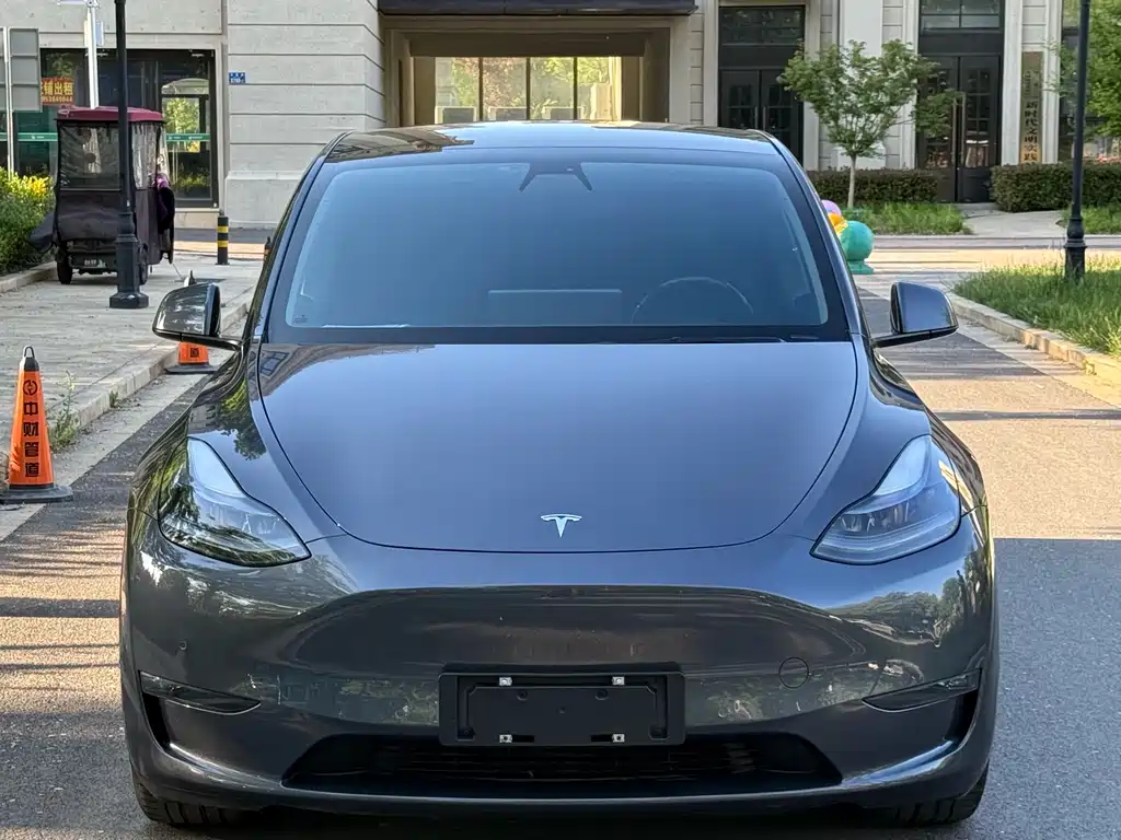 Tesla Model Y 2021 — фото 2
