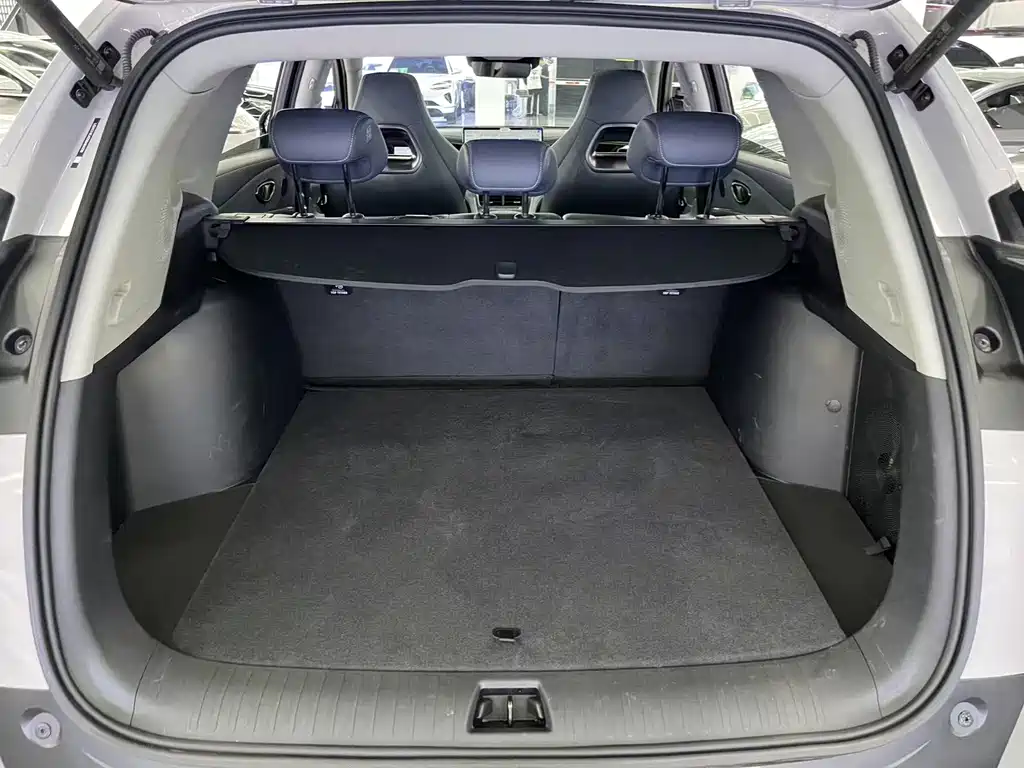 BYD Sealion 07 DM-i 2025 — фото 10