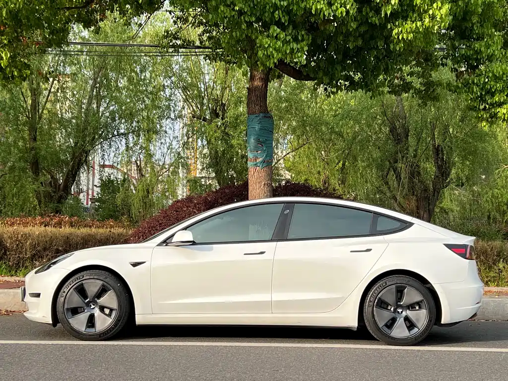 Tesla Model 3 2021 — фото 2