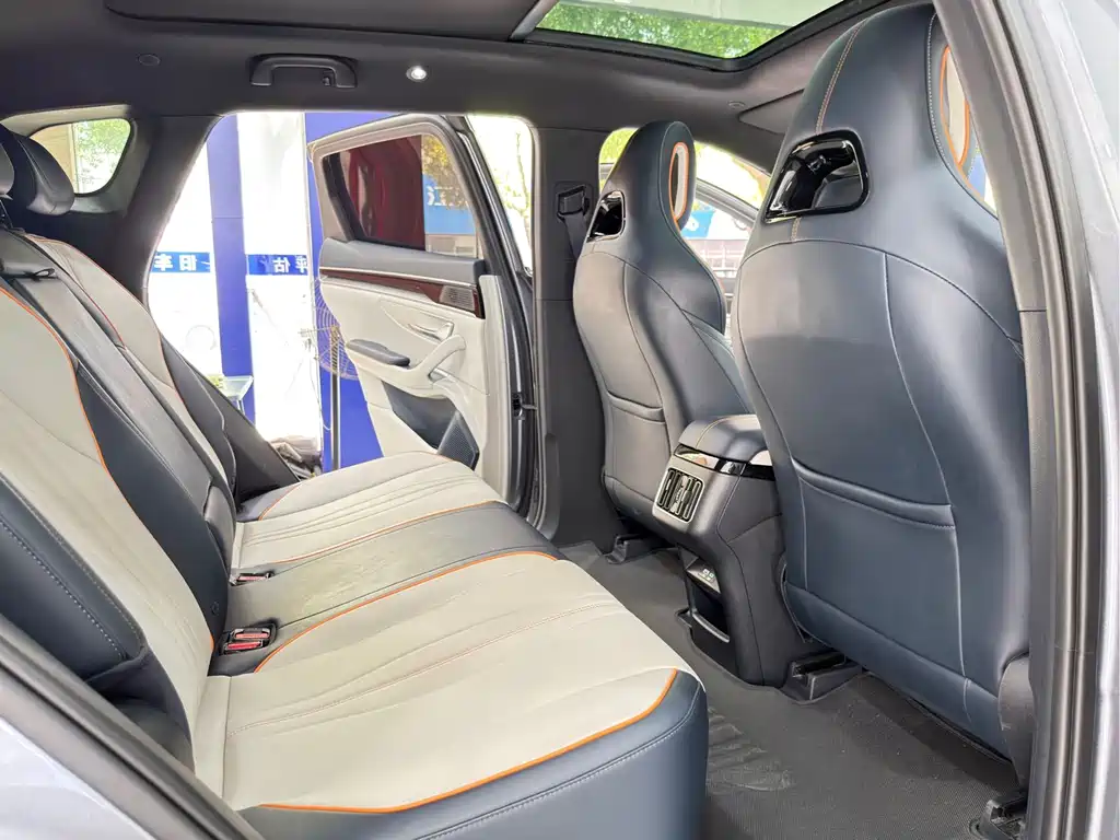BYD Song PLUS New Energy 2024 — фото 14