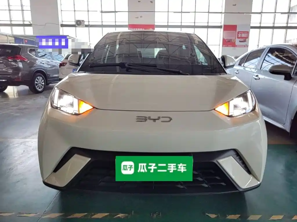 BYD Seagull 2024