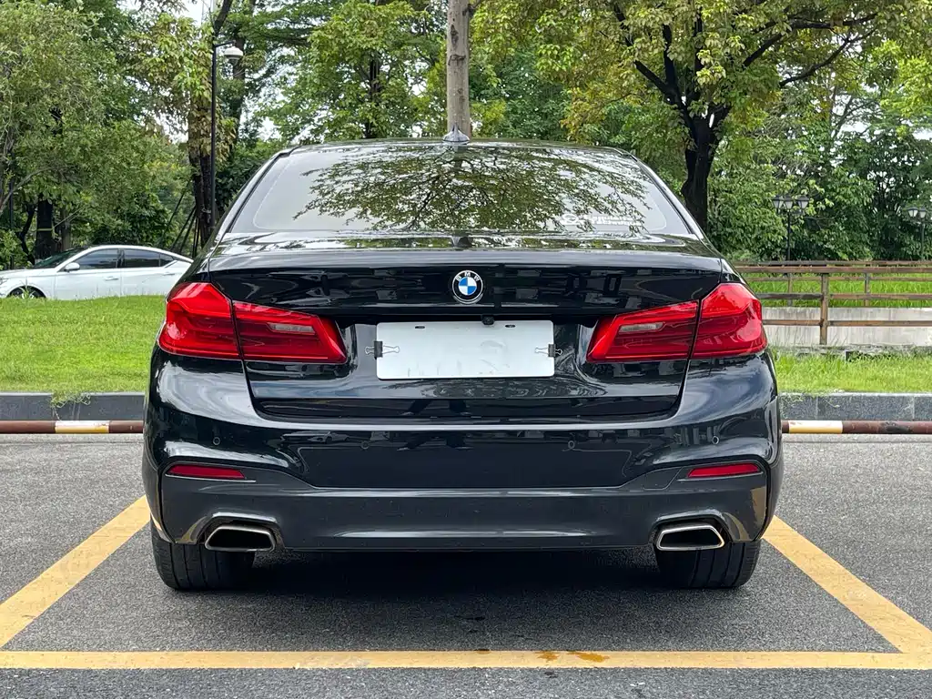 BMW 5 Series 2019