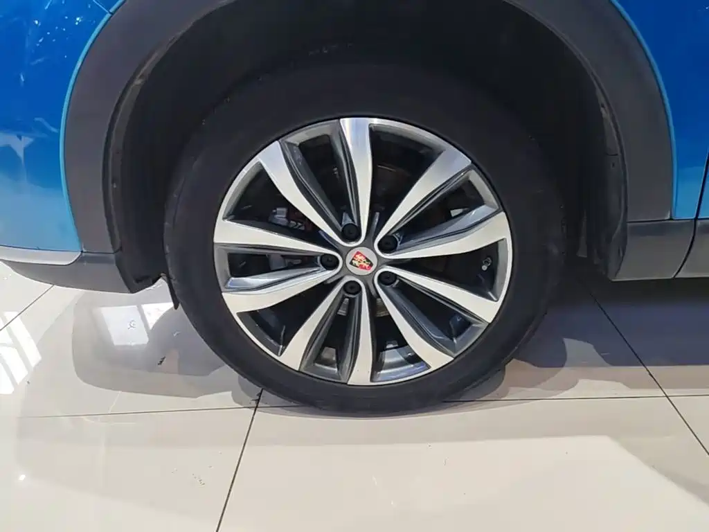 Roewe RX5 MAX 2019 — фото 23