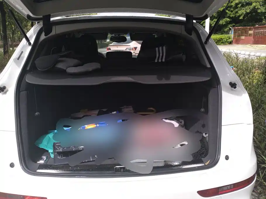 Audi Q5 2018