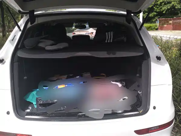 Audi Q5 2018