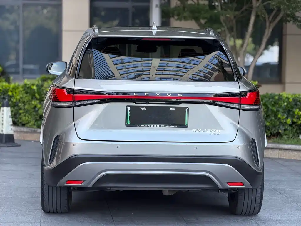 Lexus RX New Energy 2023 — фото 9