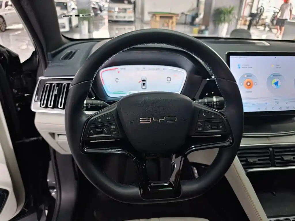 BYD Song PLUS New Energy 2024 — фото 12
