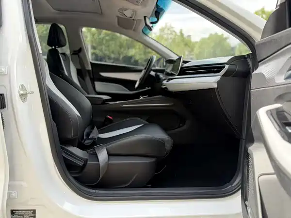 Geely Binrui 2024