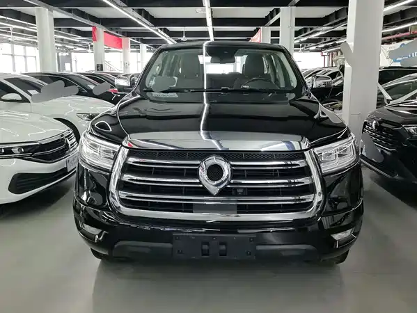 Great Wall Poer 2020