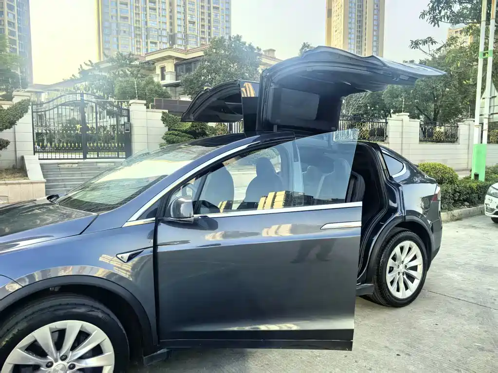Tesla Model X 2020 — фото 3