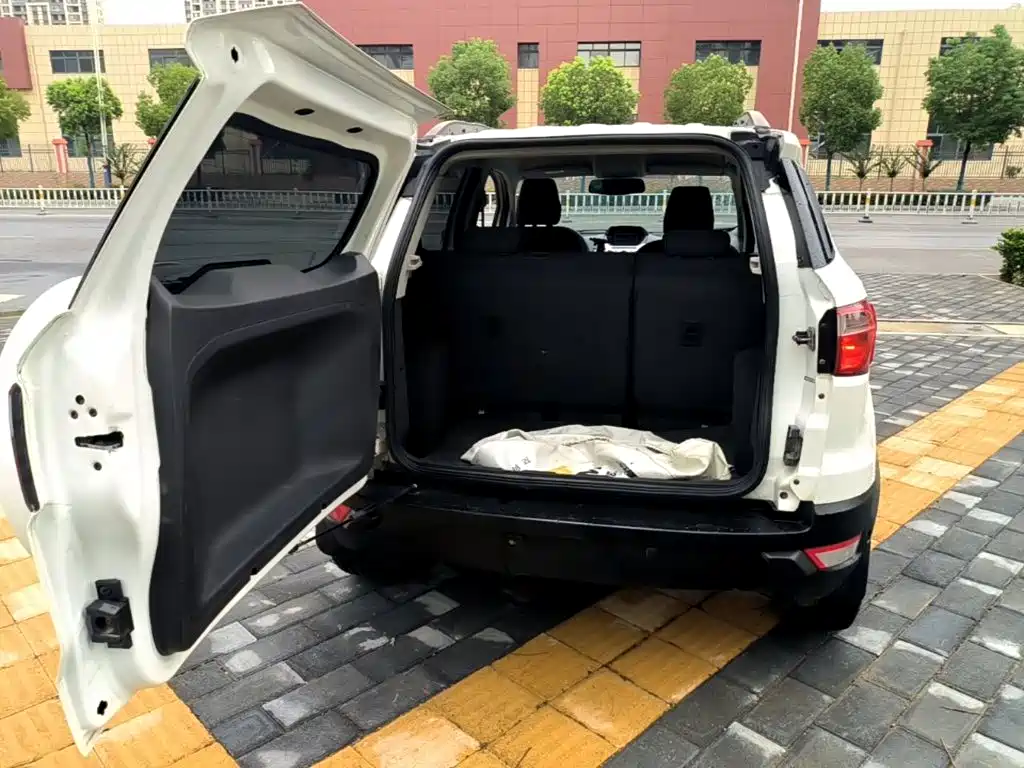 Ford EcoSport 2015 — фото 19