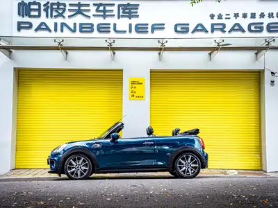 MINI MINI 2021