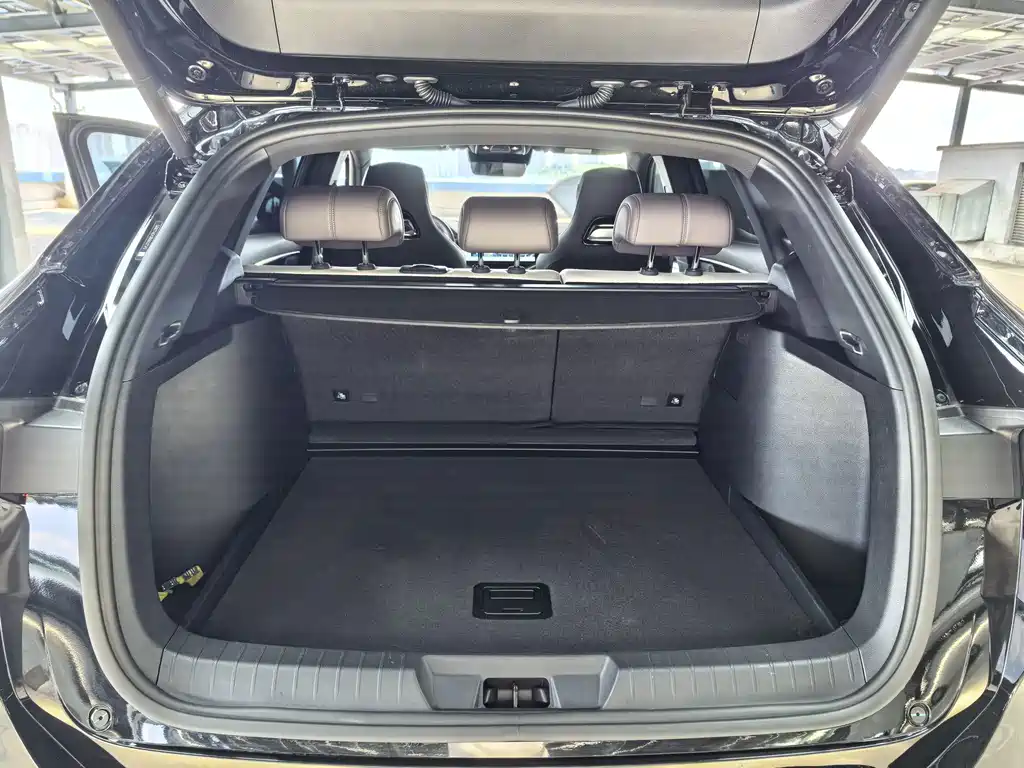 BYD Song PLUS New Energy 2024 — фото 15
