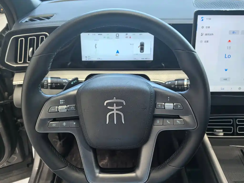 BYD Song Pro New Energy 2025 — фото 9