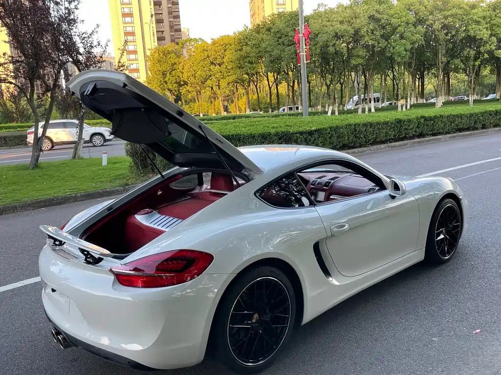 Porsche Cayman 2015 — фото 20