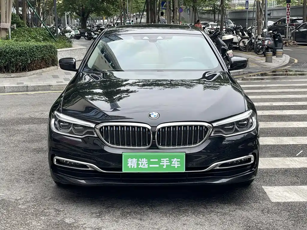 BMW 5 Series New Energy 2019