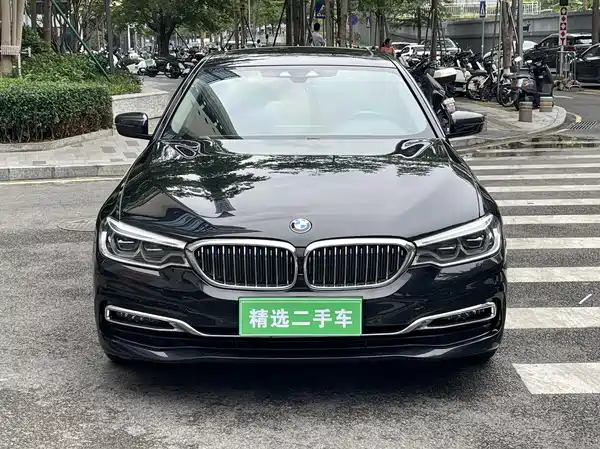 BMW 5 Series New Energy 2019