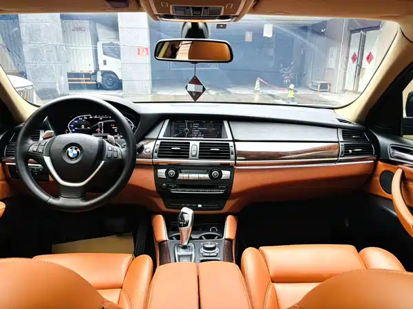 BMW X6 2010