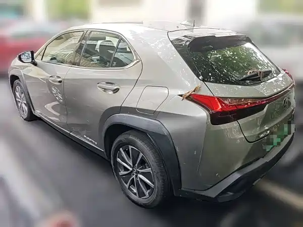 Lexus UX New Energy 2021
