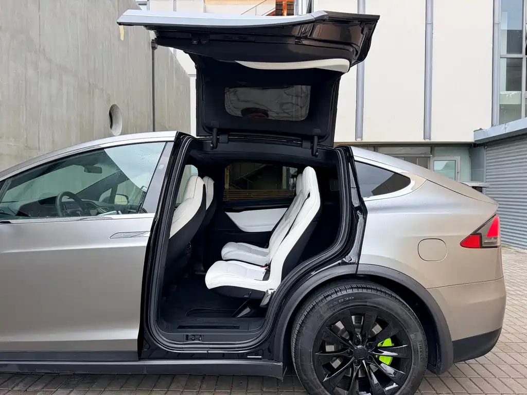 Tesla Model X 2019 — фото 16