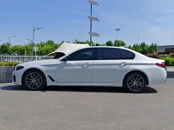 BMW 5 Series New Energy 2021