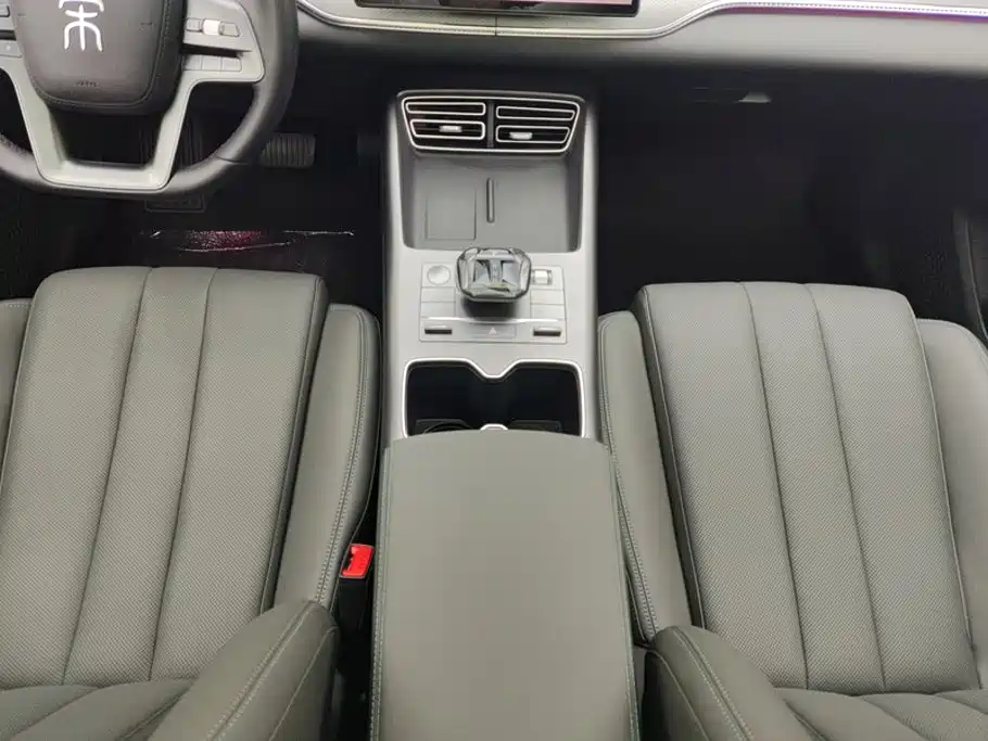 BYD Song Pro New Energy 2025 — фото 16