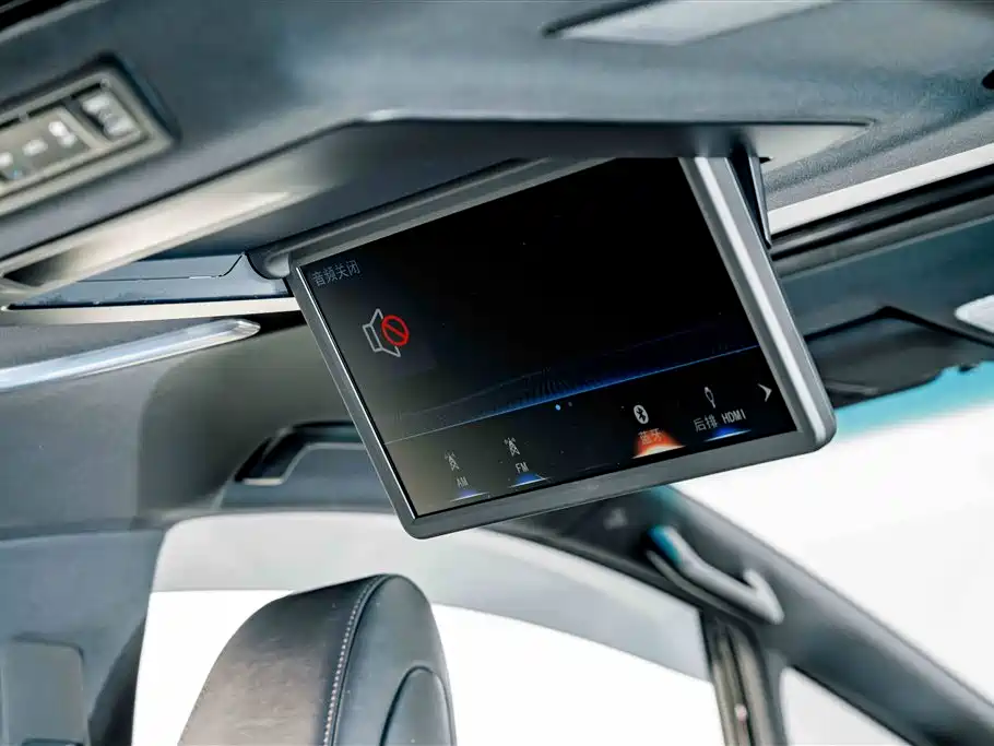 Lexus LM 2023 — фото 29