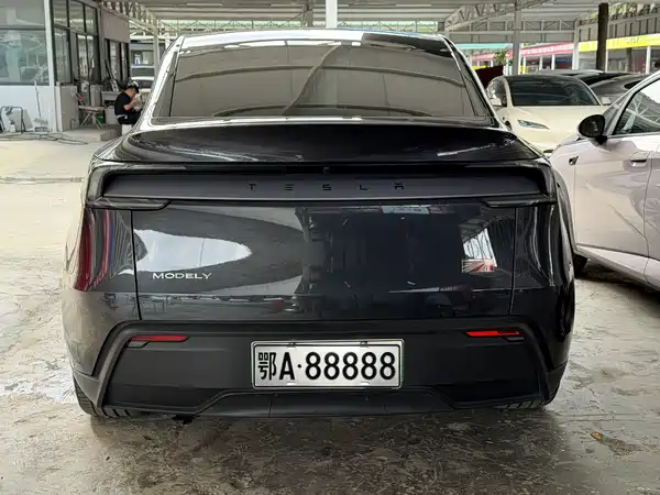 Tesla Model Y 2025