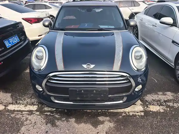 MINI MINI 2018